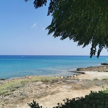 Sunny Coast By The Sea